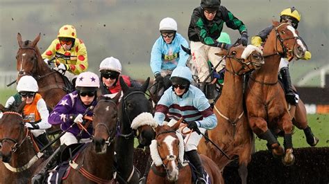 grand national tips and bets